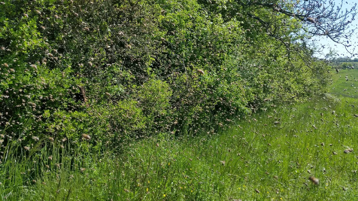 Weite Landschaft bei Möckmühl